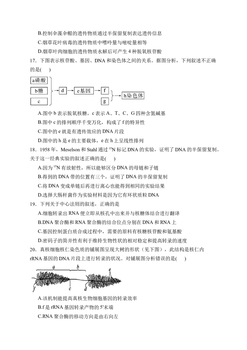 《福建省泉州市四校2025-2026学年高一下学期期中联考试题生物Word版含解析_2024-2027高一（7-7月题库）(1)_2026年06月高一试卷》第5页预览