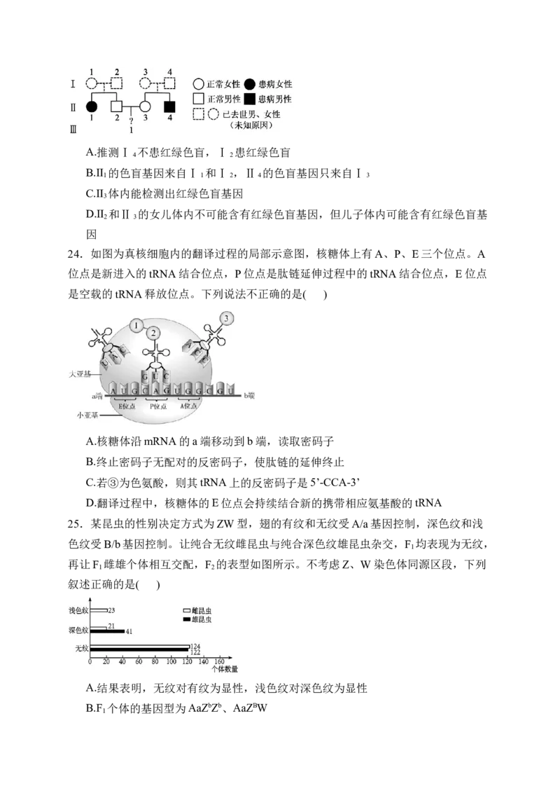 《福建省泉州市四校2025-2026学年高一下学期期中联考试题生物Word版含解析_2024-2027高一（7-7月题库）(1)_2026年06月高一试卷》第7页预览