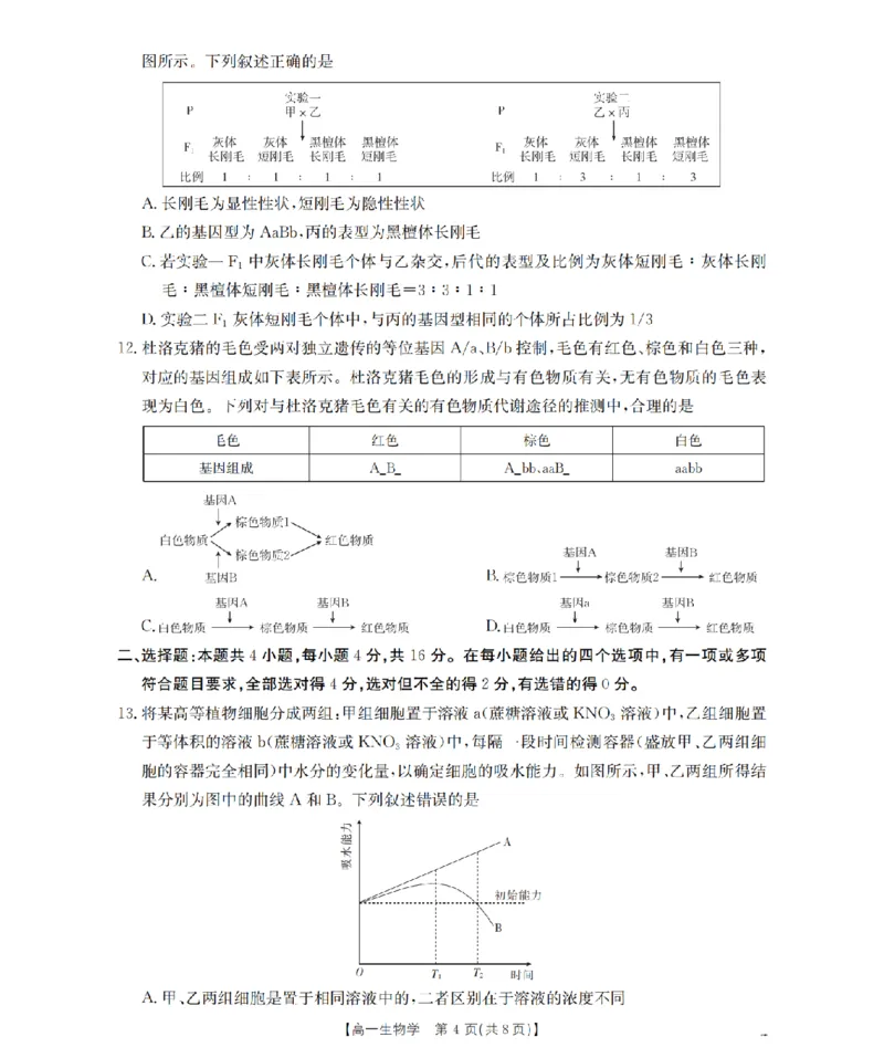 《生物学_扫描版_2024-2027高一（7-7月题库）(1)_2026年05月高一试卷_260514湖南省2025-2026学年高一下学期4月联考（全）》第4页预览