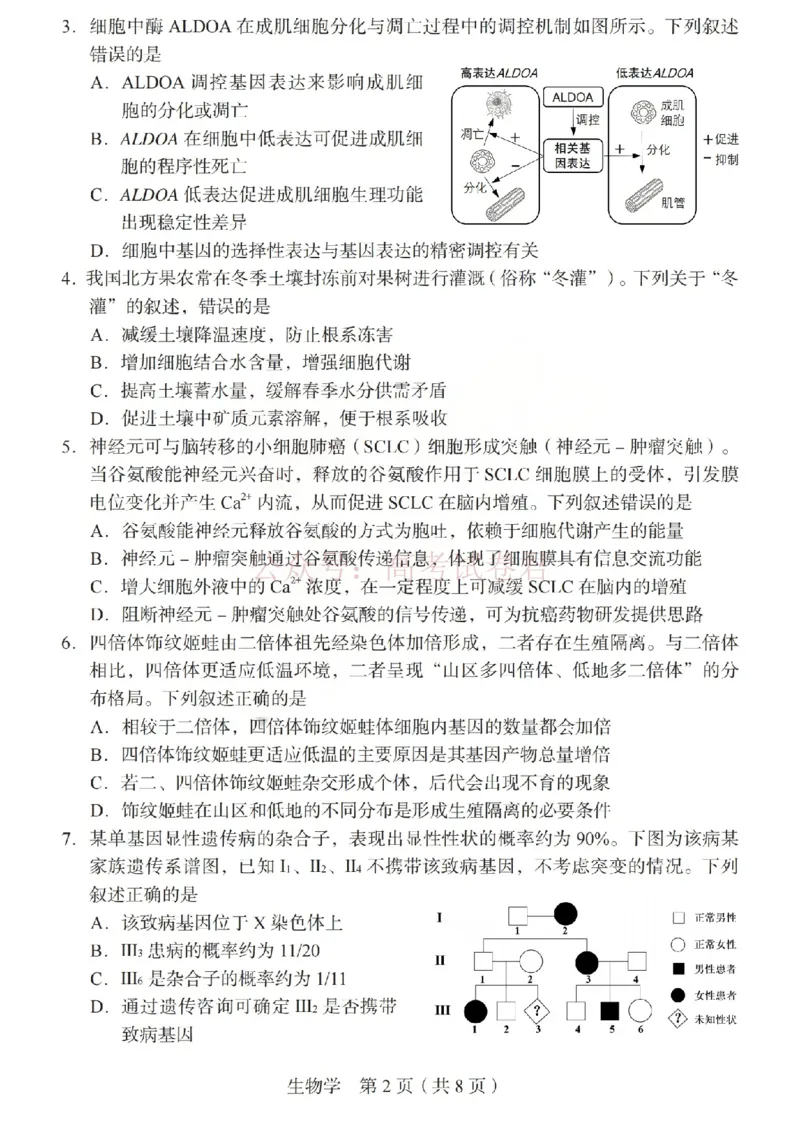 《2026年山西省普通高中学业水平选择性考试调研试题生物_副本_12.2026年4月全国各地高考模拟卷_2026年4月_山西学考选考调研2026年山西省普通高中学业水平选择性考试调研试题》第2页预览