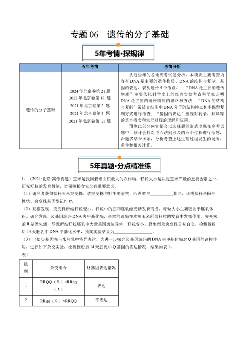 《专题06遗传的分子基础（学生版）_北京高考全科_生物_五年（2020-2024）高考生物真题分类汇编（北京专用）》第1页预览