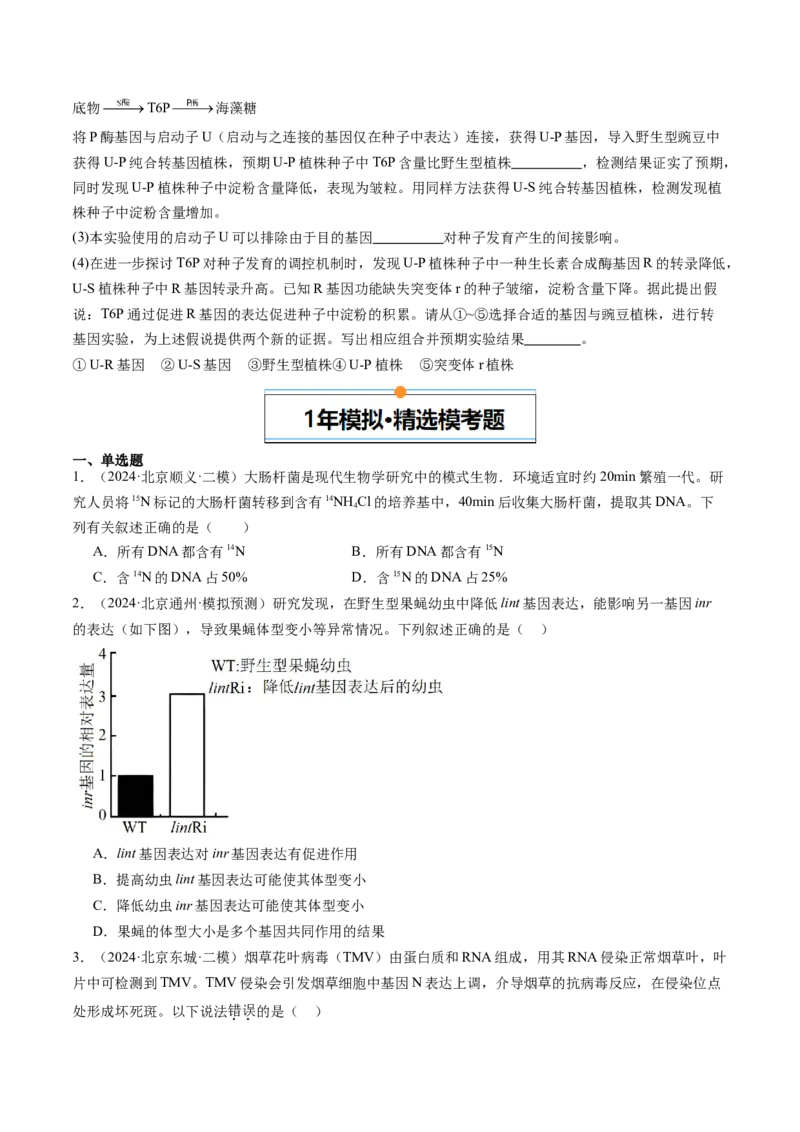 《专题06遗传的分子基础（学生版）_北京高考全科_生物_五年（2020-2024）高考生物真题分类汇编（北京专用）》第4页预览