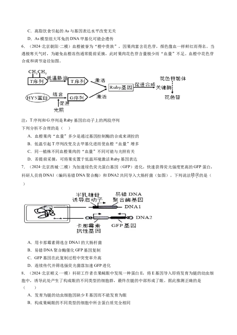 《专题06遗传的分子基础（学生版）_北京高考全科_生物_五年（2020-2024）高考生物真题分类汇编（北京专用）》第6页预览