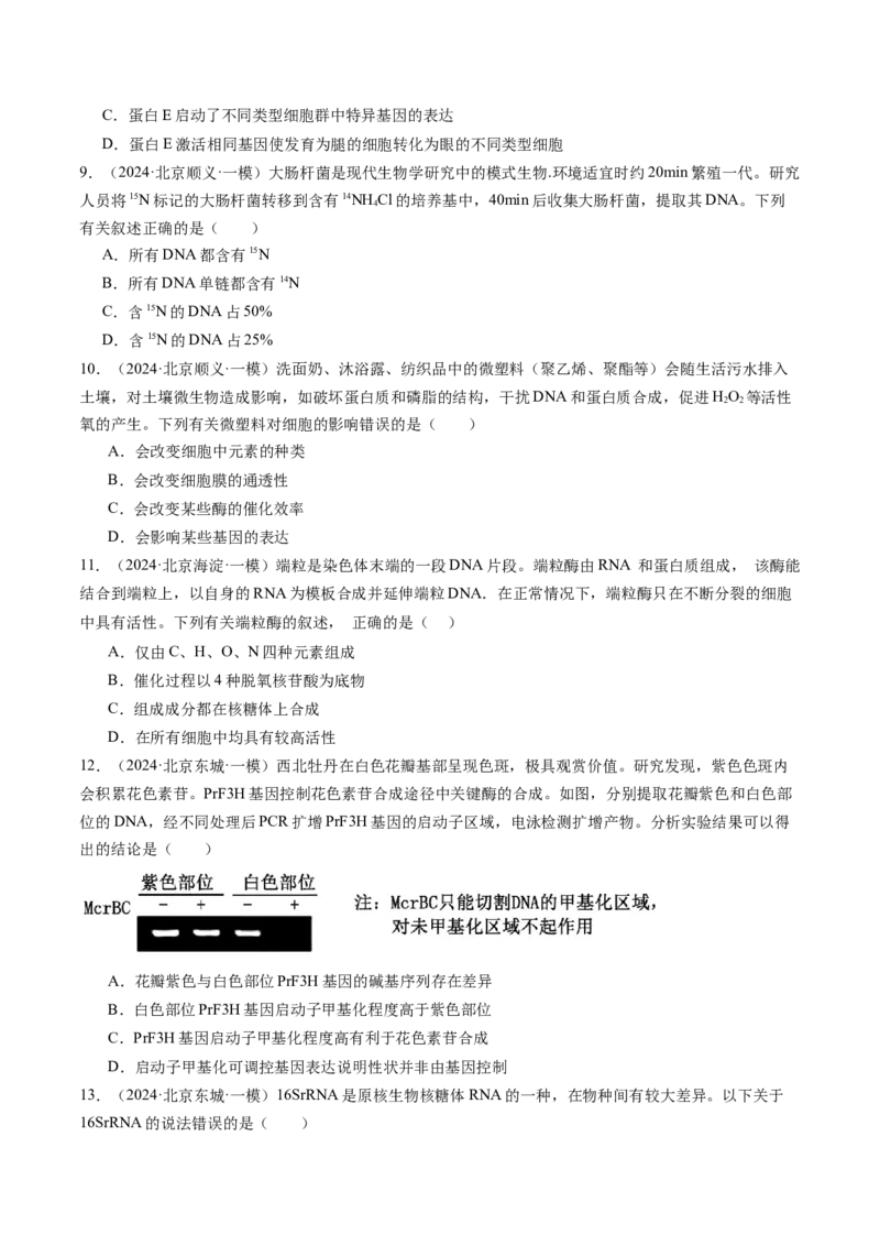《专题06遗传的分子基础（学生版）_北京高考全科_生物_五年（2020-2024）高考生物真题分类汇编（北京专用）》第7页预览