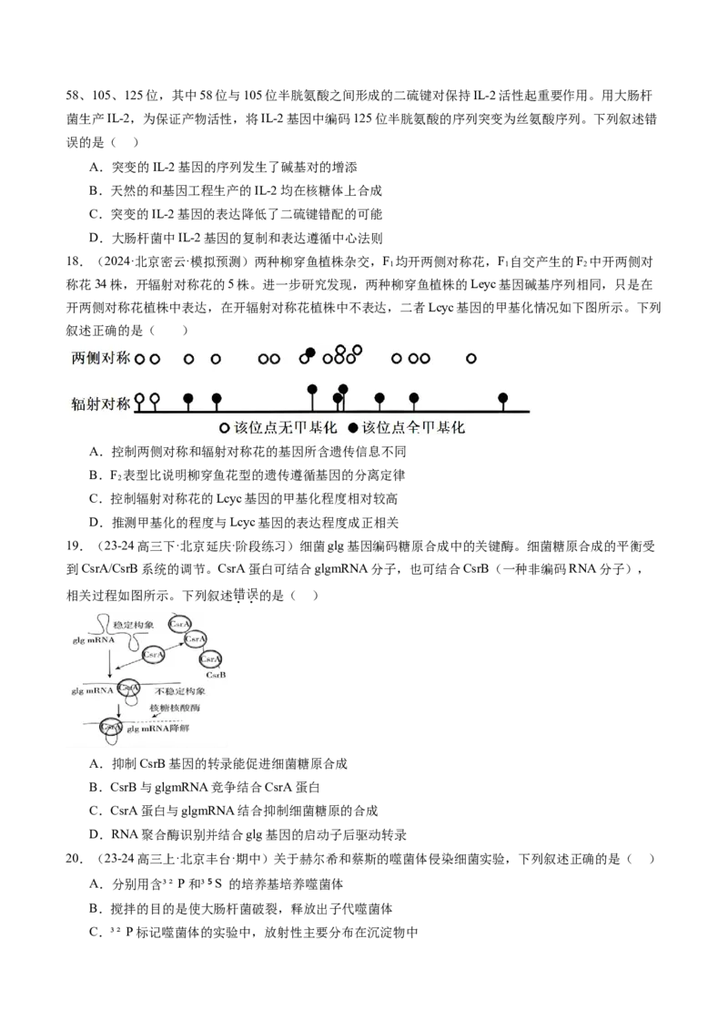 《专题06遗传的分子基础（学生版）_北京高考全科_生物_五年（2020-2024）高考生物真题分类汇编（北京专用）》第9页预览