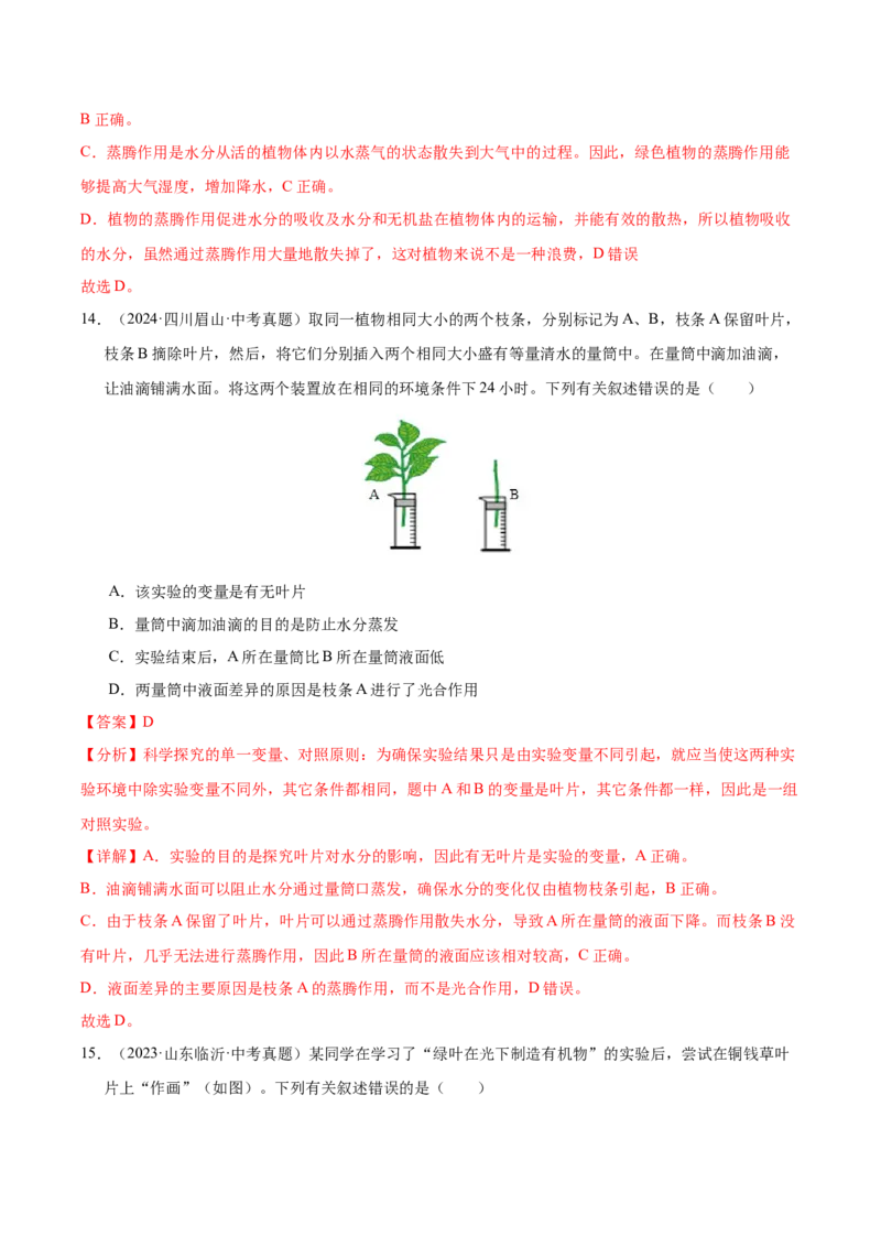 《专题04绿色植物的作用（全国通用）（教师版）_2026年中考真题分类汇编9科_三年（2023-2025）中考生物真题分类汇编（全国通用）-C432》第9页预览