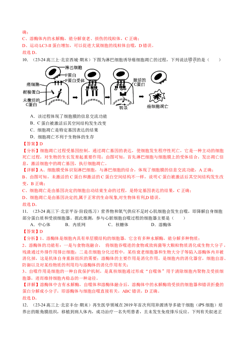 《专题05细胞的分化、衰老、凋亡及癌变（教师版）_北京高考全科_生物_五年（2020-2024）高考生物真题分类汇编（北京专用）》第10页预览