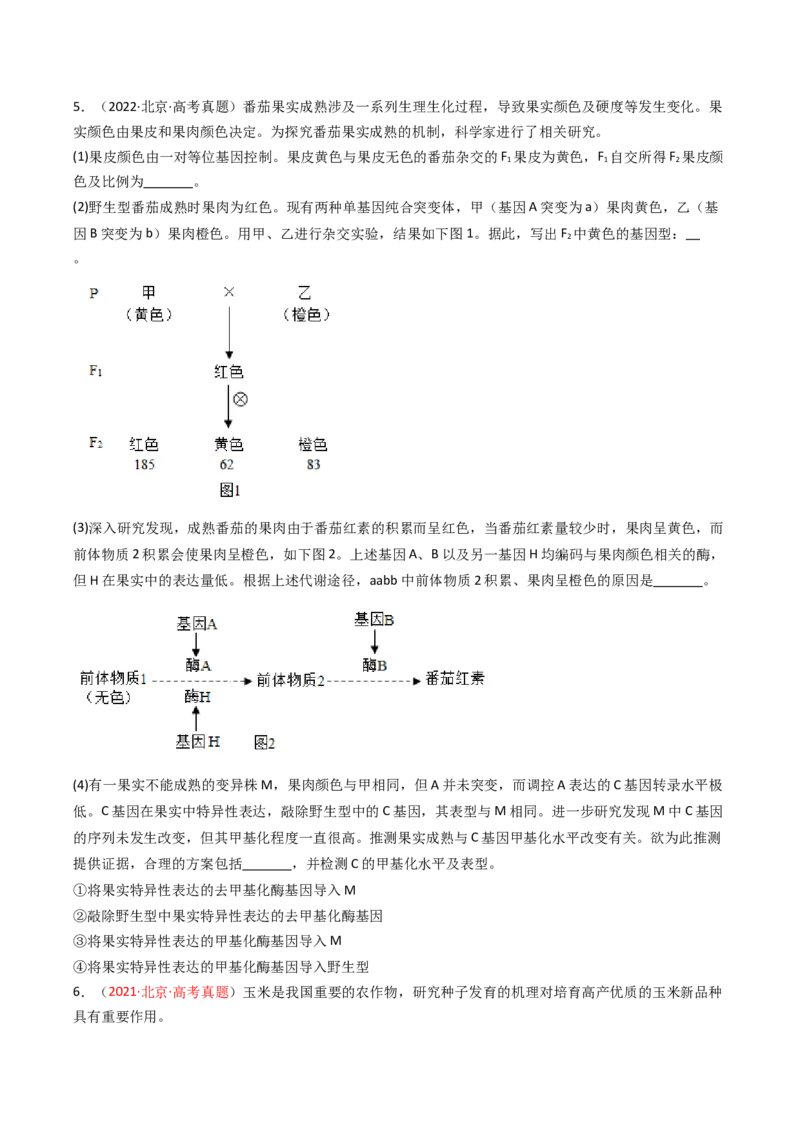 《专题06基因分离定律和自由组合定律（北京专用）（学生版）_北京高考全科_生物_5年（2021-2025）高考生物真题分类汇编（北京专用）》第4页预览