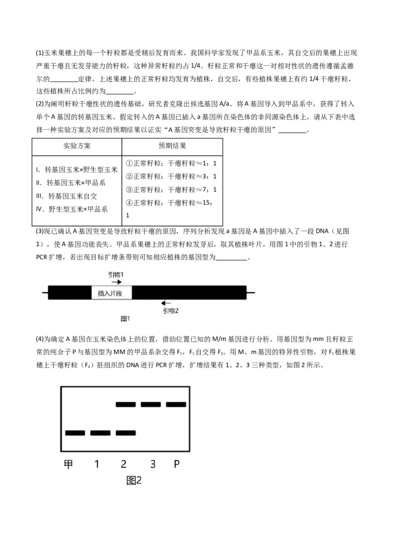 《专题06基因分离定律和自由组合定律（北京专用）（学生版）_北京高考全科_生物_5年（2021-2025）高考生物真题分类汇编（北京专用）》第5页预览