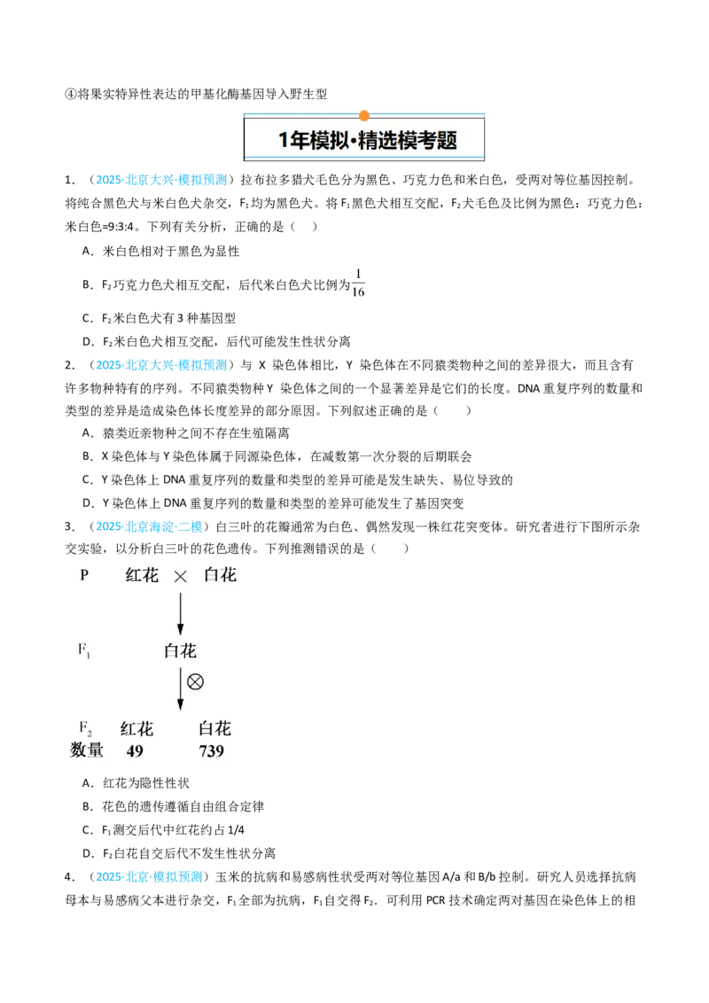 《专题06基因分离定律和自由组合定律（北京专用）（学生版）_北京高考全科_生物_5年（2021-2025）高考生物真题分类汇编（北京专用）》第8页预览