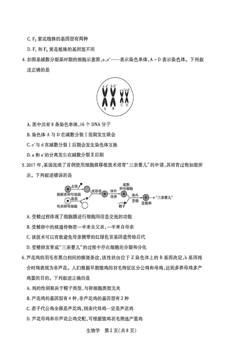 《高一生物学试卷_2024-2027高一（7-7月题库）(1)_2026年06月高一试卷_260616河南省新乡市部分学校2025-2026学年高一下学期6月阶段检》第2页预览