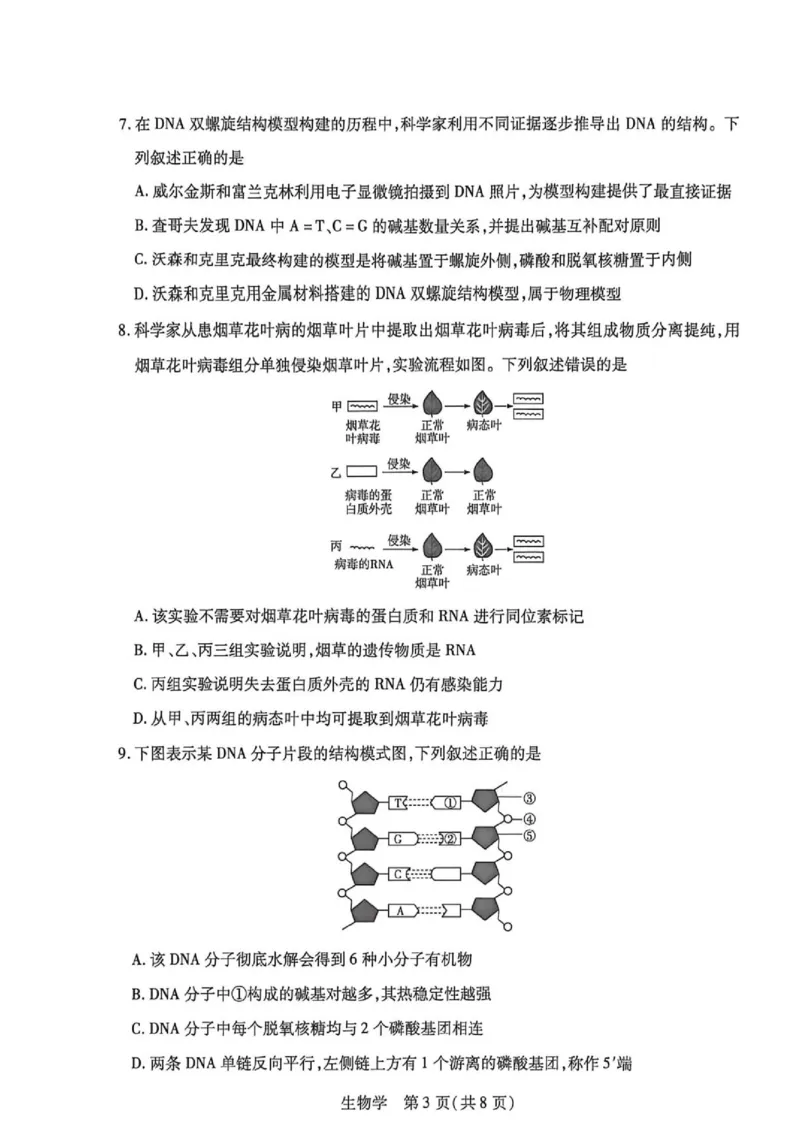 《高一生物学试卷_2024-2027高一（7-7月题库）(1)_2026年06月高一试卷_260616河南省新乡市部分学校2025-2026学年高一下学期6月阶段检》第3页预览