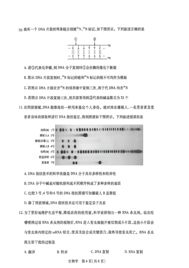 《高一生物学试卷_2024-2027高一（7-7月题库）(1)_2026年06月高一试卷_260616河南省新乡市部分学校2025-2026学年高一下学期6月阶段检》第4页预览