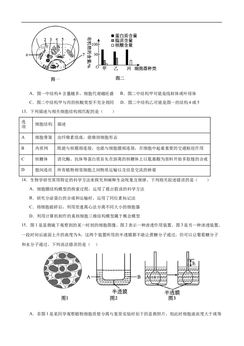 《2025年12月高一生物月考题_2026年高一《月考+期中考+阶段性检测真题合集》全国各省全科无水印_河南省南阳市方城县第一高级中学2026学年高一上学期12月月考（全）》第4页预览