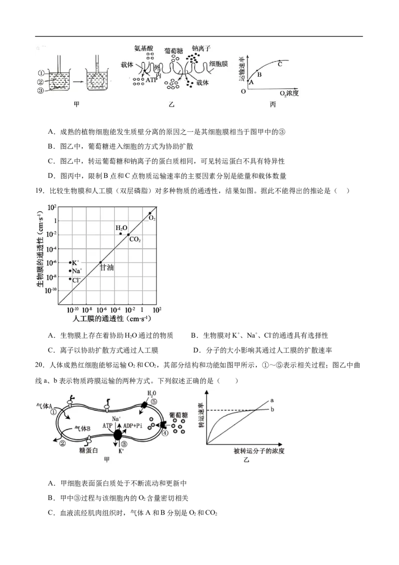 《2025年12月高一生物月考题_2026年高一《月考+期中考+阶段性检测真题合集》全国各省全科无水印_河南省南阳市方城县第一高级中学2026学年高一上学期12月月考（全）》第6页预览