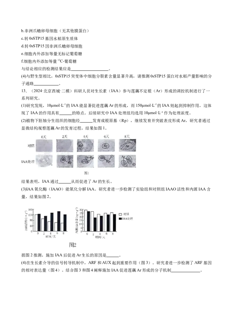 《专题10植物的激素调节（学生版）_北京高考全科_生物_五年（2020-2024）高考生物真题分类汇编（北京专用）》第10页预览