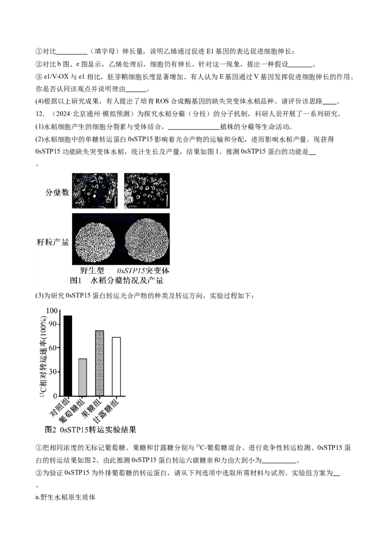 《专题10植物的激素调节（学生版）_北京高考全科_生物_五年（2020-2024）高考生物真题分类汇编（北京专用）》第9页预览