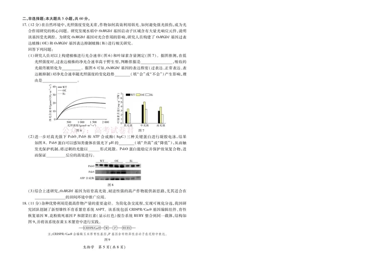 《26届4月湛江高三二模·生物学3.28(1)_12.2026年4月全国各地高考模拟卷_2026年4月_2026年广东省湛江市普通高考测试（二）_06生物_广东省湛江市普通高考测试（二）》第5页预览