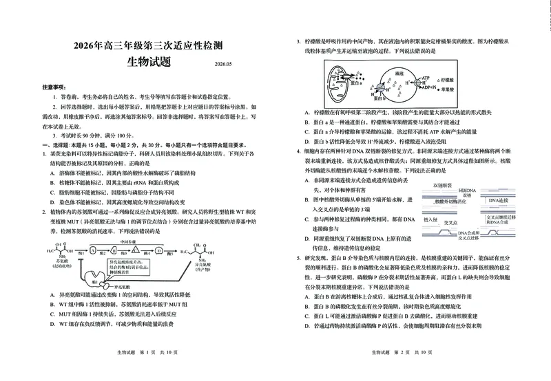 《2026青岛高三三模-生物_2024-2027高三（6-6月题库）_2026年05月高三试卷_260528山东青岛市2026年高三年级第三次适应性检测（全科）》第1页预览