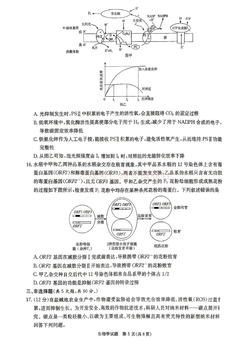 《2026年湖南长郡二十校联盟高三第二次联考生物试题_副本_12.2026年4月全国各地高考模拟卷_2026年4月_2026年湖南长郡二十校联盟高三第二次联考全科》第5页预览