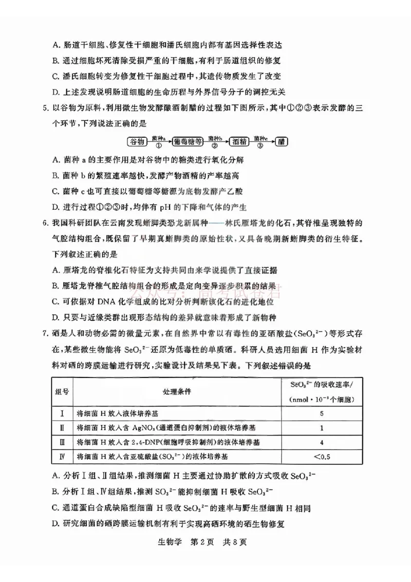 《T8联考2026届高三4月阶段练习（湖北版）生物+答案_副本(1)_12.2026年4月全国各地高考模拟卷_2026年4月_2026届湖北T8联考高三下学期4月联合测评全科》第2页预览