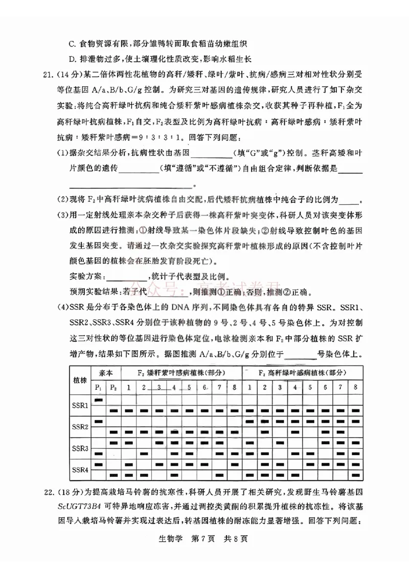《T8联考2026届高三4月阶段练习（湖北版）生物+答案_副本(1)_12.2026年4月全国各地高考模拟卷_2026年4月_2026届湖北T8联考高三下学期4月联合测评全科》第7页预览