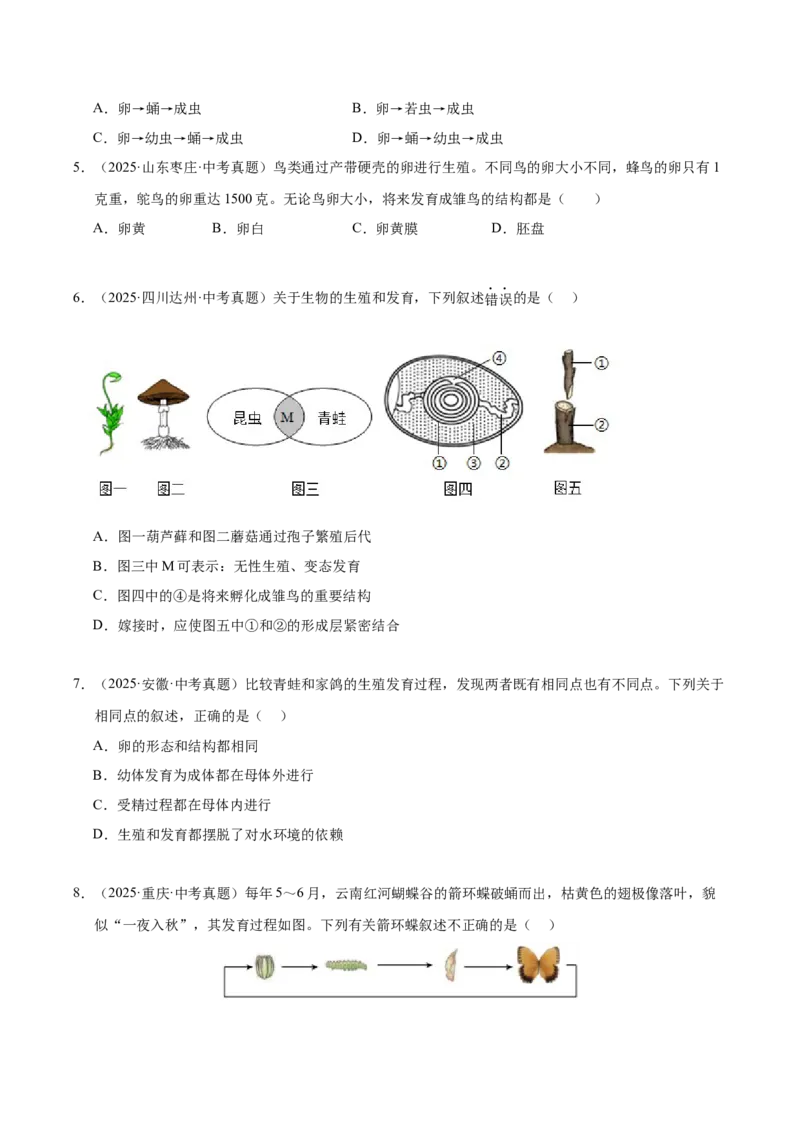 《专题11生物的生殖和发育（全国通用）（学生版）_2026年中考真题分类汇编9科_三年（2023-2025）中考生物真题分类汇编（全国通用）-C432》第9页预览