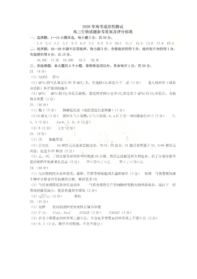 《2026年高考适应性测试生物答案_2024-2027高三（6-6月题库）_2026年05月高三试卷_260513山东省烟台市2026年高考适应性测试（烟台二模）（全科）》第1页预览