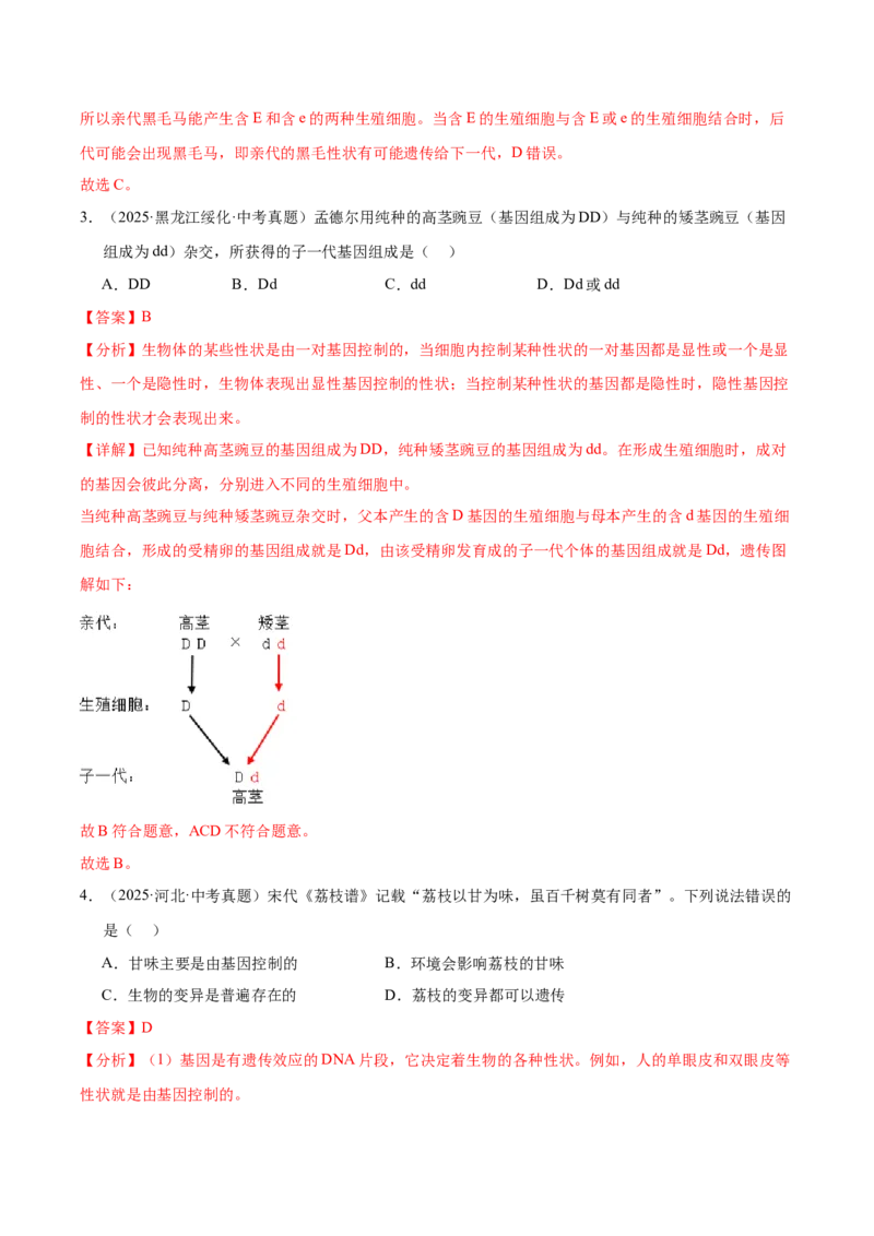 《专题12生物的遗传和变异（全国通用）（教师版）_2026年中考真题分类汇编9科_三年（2023-2025）中考生物真题分类汇编（全国通用）-C432》第3页预览