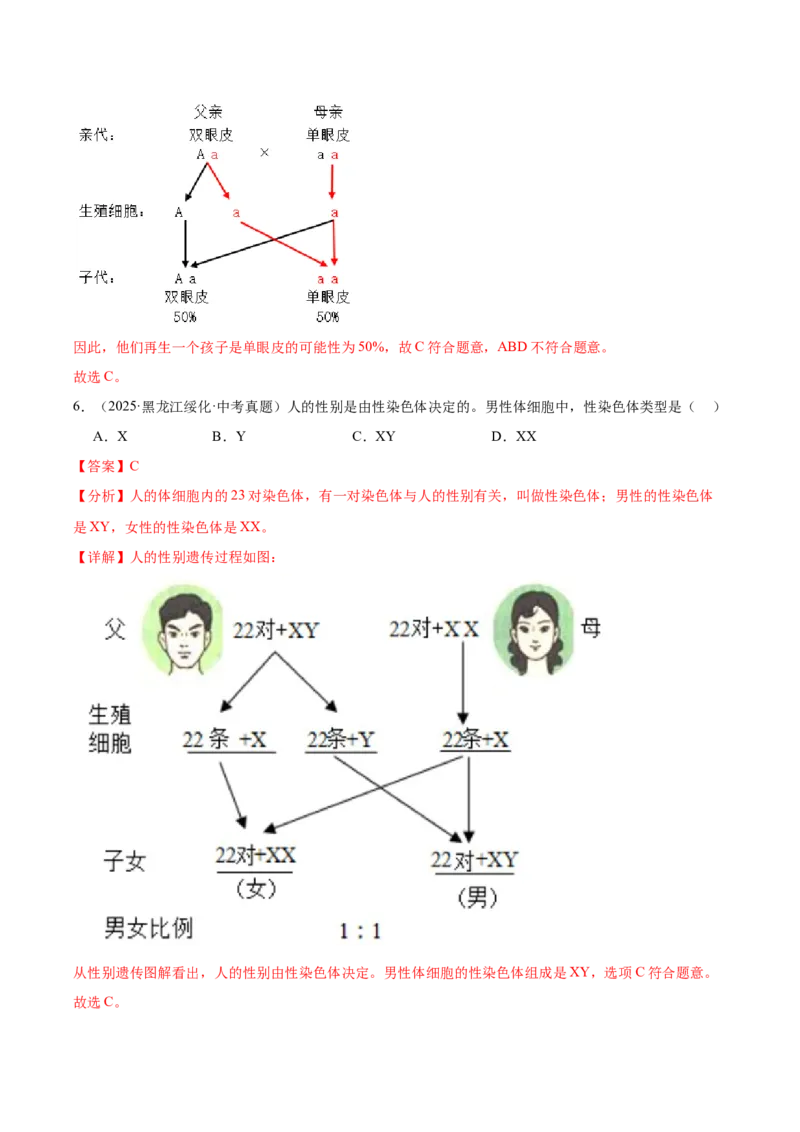 《专题12生物的遗传和变异（全国通用）（教师版）_2026年中考真题分类汇编9科_三年（2023-2025）中考生物真题分类汇编（全国通用）-C432》第5页预览