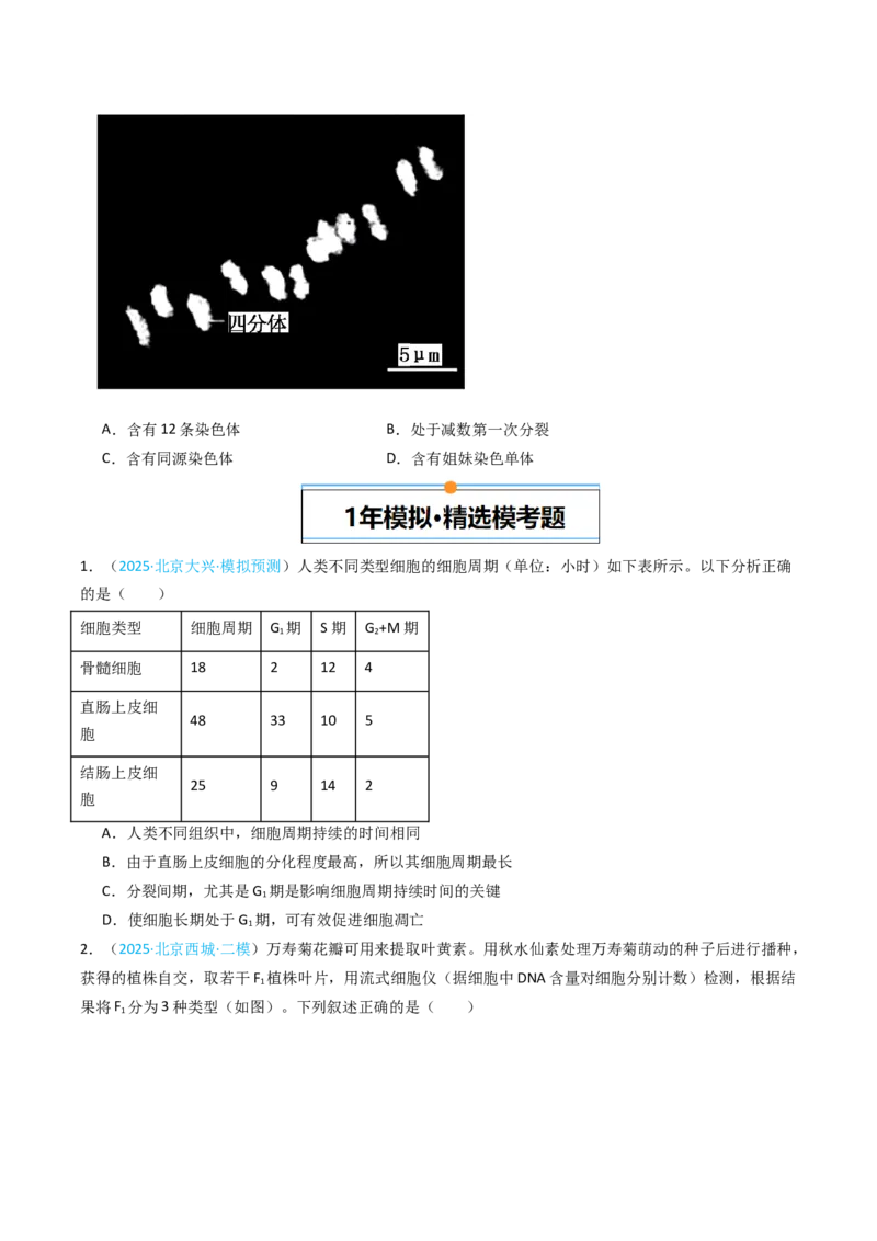 《专题04有丝分裂和减数分裂（北京专用）（学生版）_北京高考全科_生物_5年（2021-2025）高考生物真题分类汇编（北京专用）》第3页预览