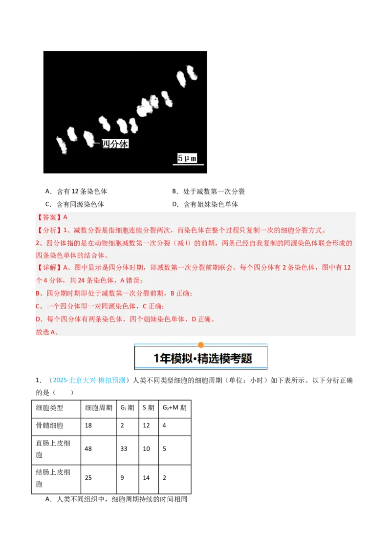 《专题04有丝分裂和减数分裂（北京专用）（教师版）_北京高考全科_生物_5年（2021-2025）高考生物真题分类汇编（北京专用）》第5页预览