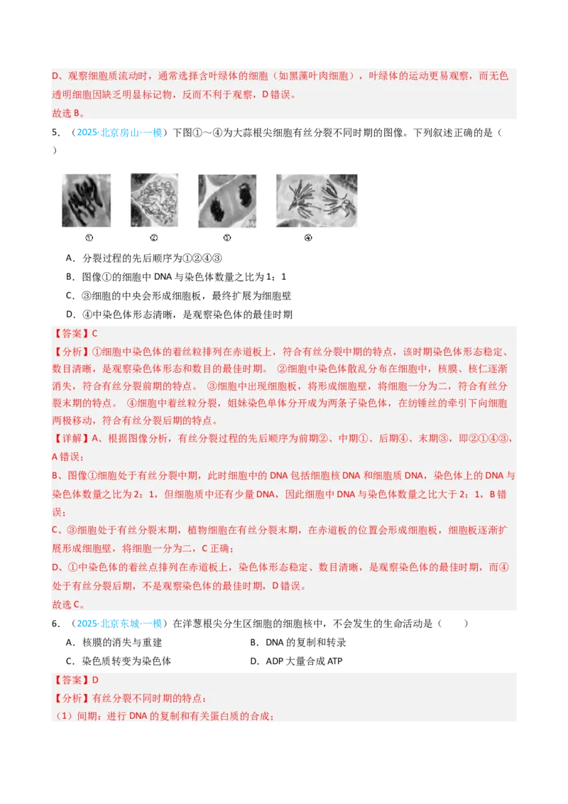 《专题04有丝分裂和减数分裂（北京专用）（教师版）_北京高考全科_生物_5年（2021-2025）高考生物真题分类汇编（北京专用）》第8页预览