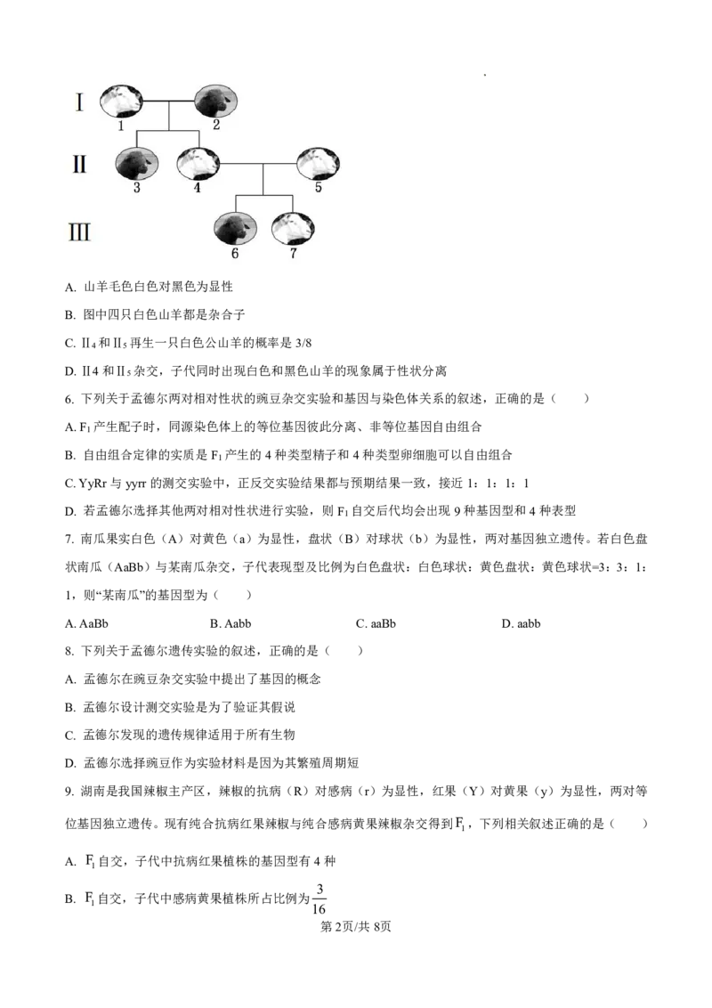 《高一生物试卷_2024-2027高一（7-7月题库）(1)_2026年05月高一试卷_260511山西省晋城市第一中学2025-2026学年高一下学期4月月考试题》第2页预览