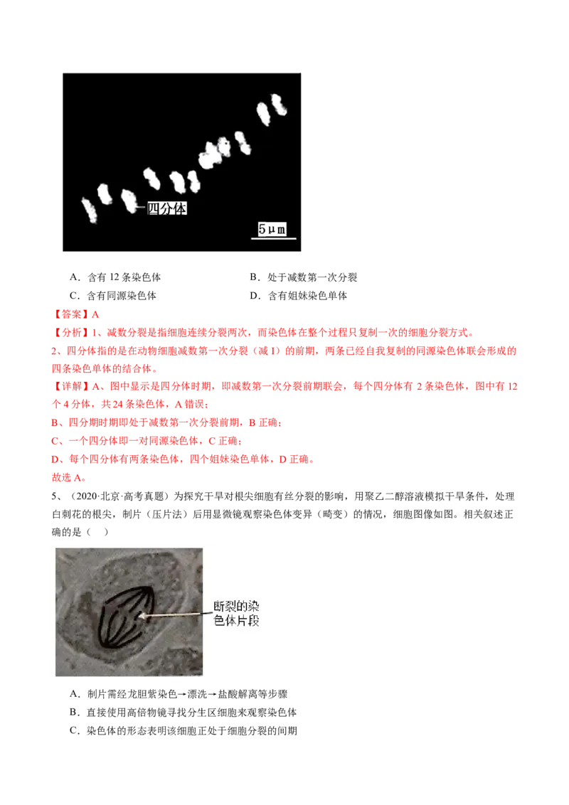 《专题04有丝分裂和减数分裂（教师版）_北京高考全科_生物_五年（2020-2024）高考生物真题分类汇编（北京专用）》第4页预览