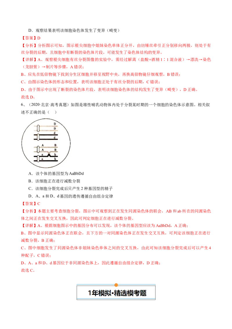 《专题04有丝分裂和减数分裂（教师版）_北京高考全科_生物_五年（2020-2024）高考生物真题分类汇编（北京专用）》第5页预览