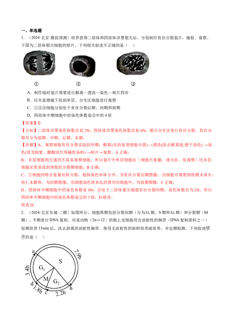 《专题04有丝分裂和减数分裂（教师版）_北京高考全科_生物_五年（2020-2024）高考生物真题分类汇编（北京专用）》第6页预览