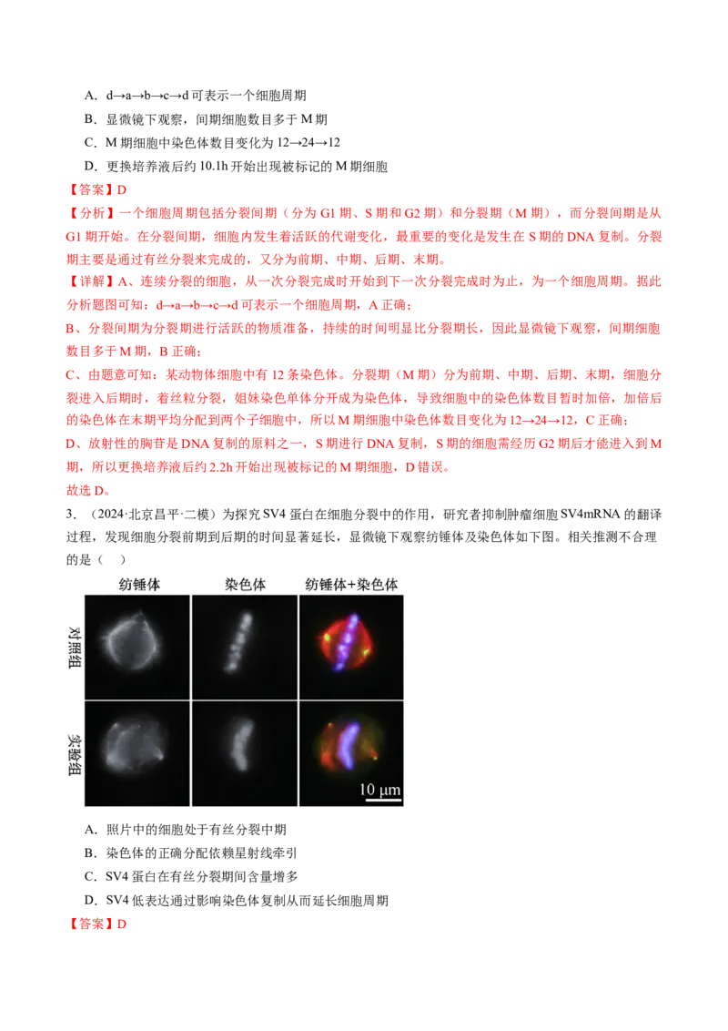 《专题04有丝分裂和减数分裂（教师版）_北京高考全科_生物_五年（2020-2024）高考生物真题分类汇编（北京专用）》第7页预览
