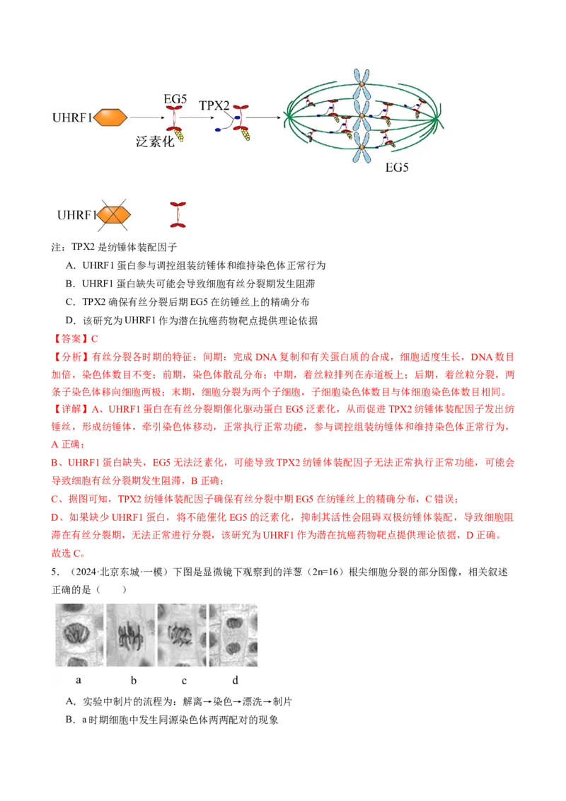 《专题04有丝分裂和减数分裂（教师版）_北京高考全科_生物_五年（2020-2024）高考生物真题分类汇编（北京专用）》第9页预览