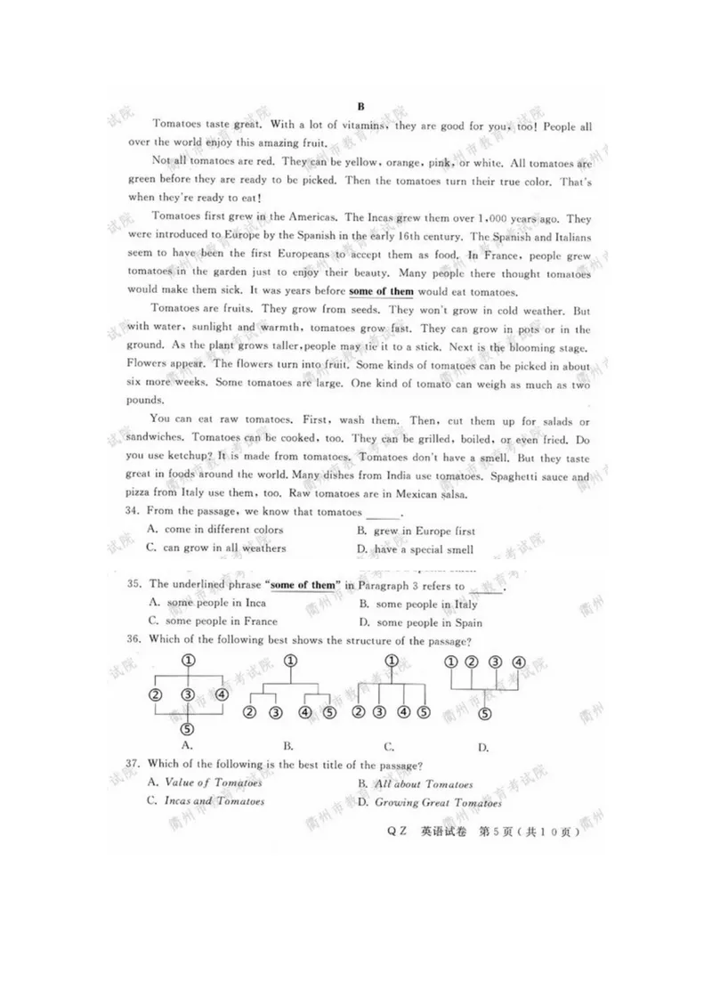 《5.2020浙江衢州中考英语真题_初中英语789_26秋最新人教版英语九年级上册_人教版英语九年级全册_人教版初中英语9全一册_0最新更新_人教版英语9年级下册_九英下(RJ)--8最新中考题及各地真题》第5页预览