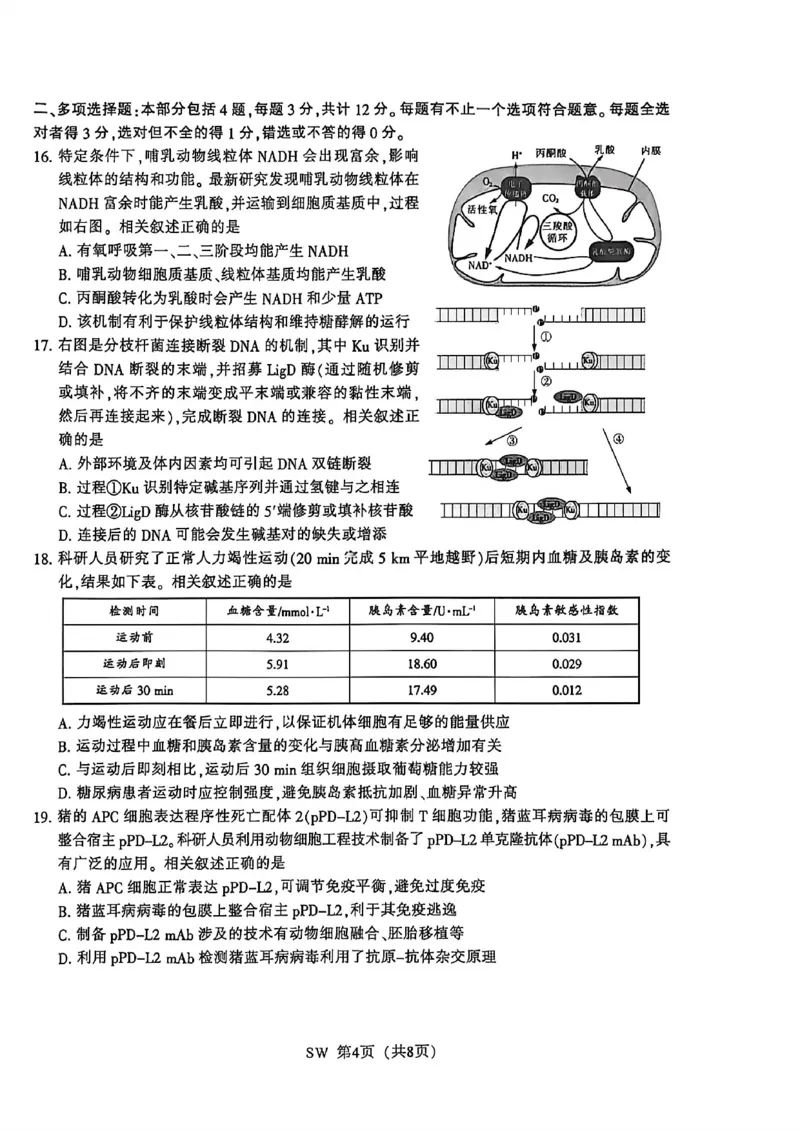 《2026届高三5月模拟考试生物_2024-2027高三(6-6月题库)_2026年05月高三试卷_260509江苏省南通市暨苏北七市2026届高三5月第二次调研考试(三模)(全科)》第4页预览