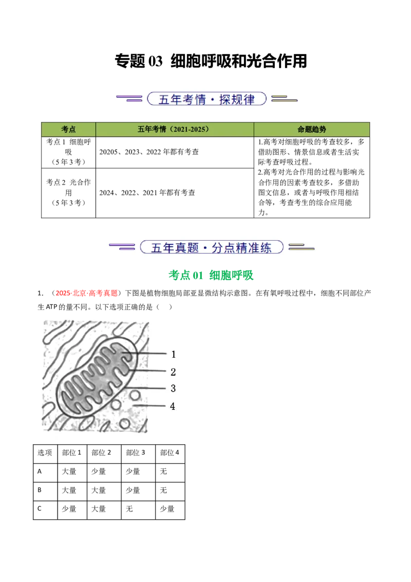 《专题03细胞呼吸和光合作用（北京专用）（学生版）_北京高考全科_生物_5年（2021-2025）高考生物真题分类汇编（北京专用）》第1页预览