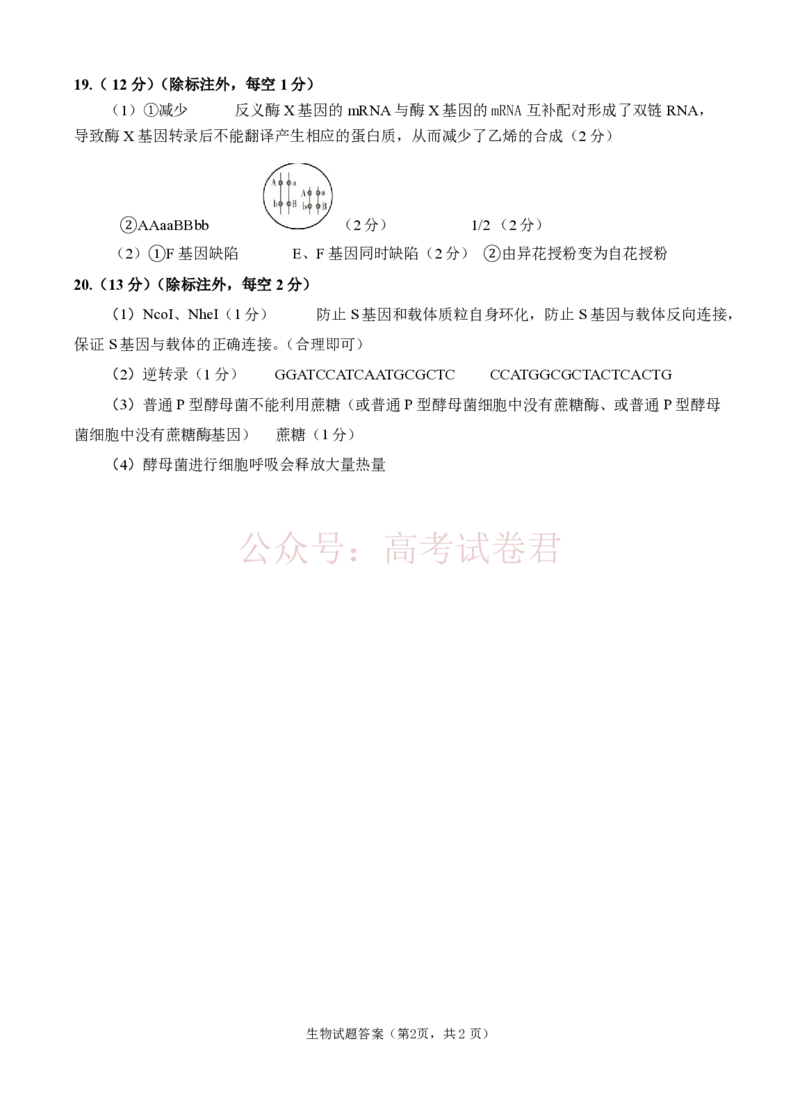 《安徽省铜陵、黄山、宣城（三市二模）2026届高三4月份质量检测生物参考答案（定稿）_副本(1)_12.2026年4月全国各地高考模拟卷_2026年4月_2026届安徽省三市高三4月份质量检测全科》第2页预览