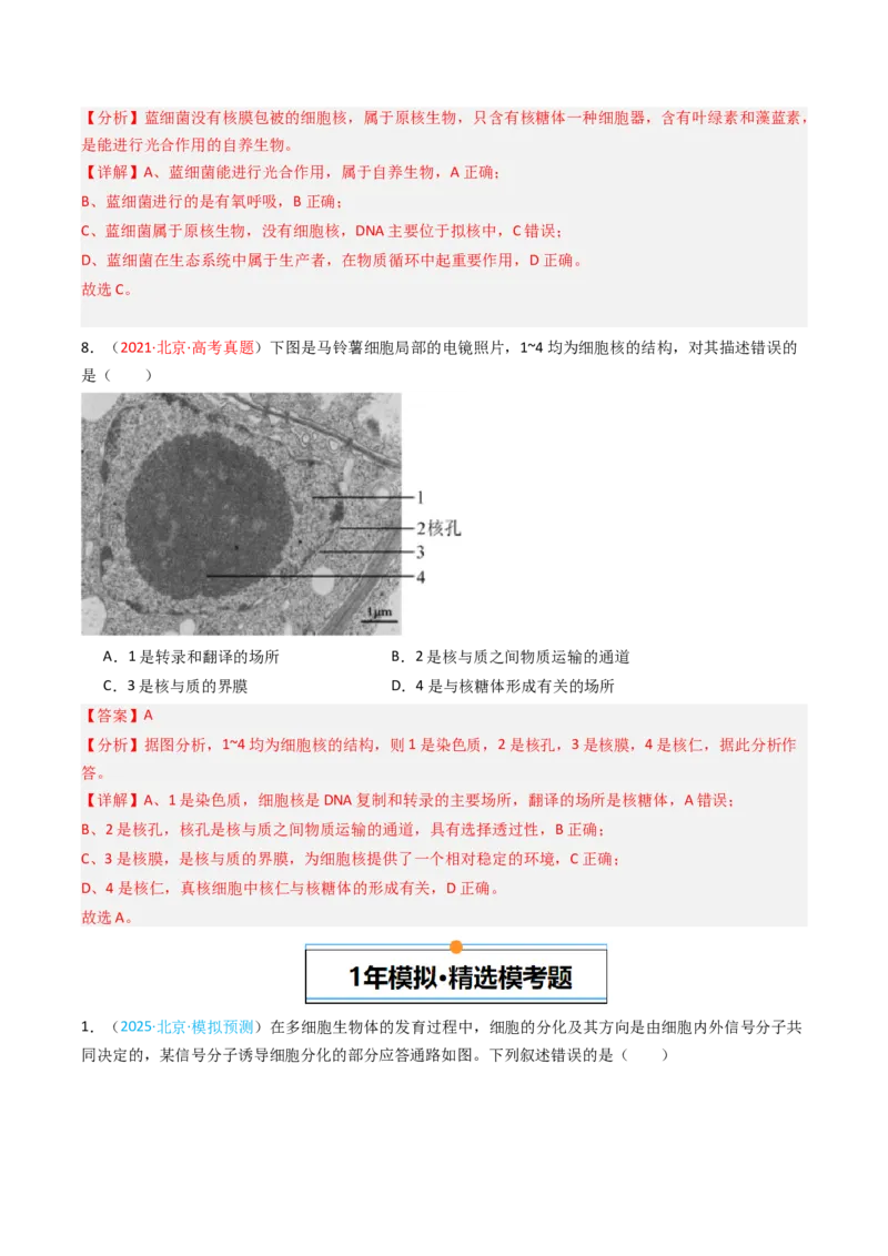 《专题01细胞的物质基础及结构基础（北京专用）（教师版）_北京高考全科_生物_5年（2021-2025）高考生物真题分类汇编（北京专用）》第9页预览