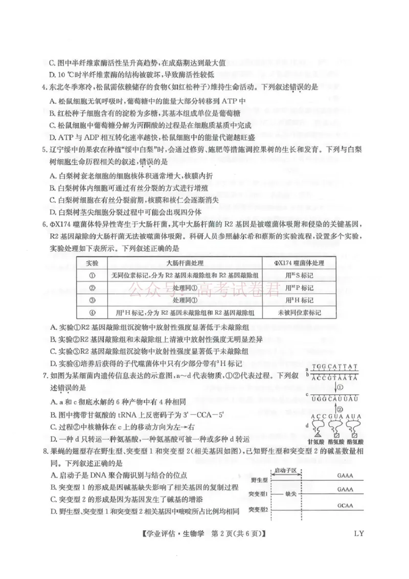 《九师联盟2026届高三下学期4月学业评估生物_副本_12.2026年4月全国各地高考模拟卷_2026年4月_2026年九师联盟高三下学期4月学业评估_06生物_九师联盟高三下学期4月学业评估》第2页预览