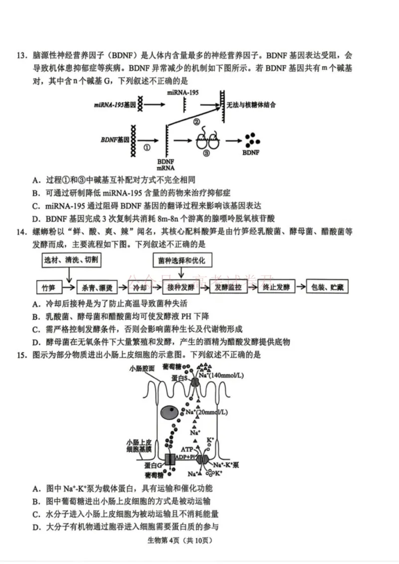 《生物试卷-辽宁省鞍山市普通高中2025-2026学年度高三年级第二次质量监测(鞍山二模)_12.2026年4月全国各地高考模拟卷_2026年4月_06生物_辽宁省鞍山市高三第二次质量监测》第4页预览