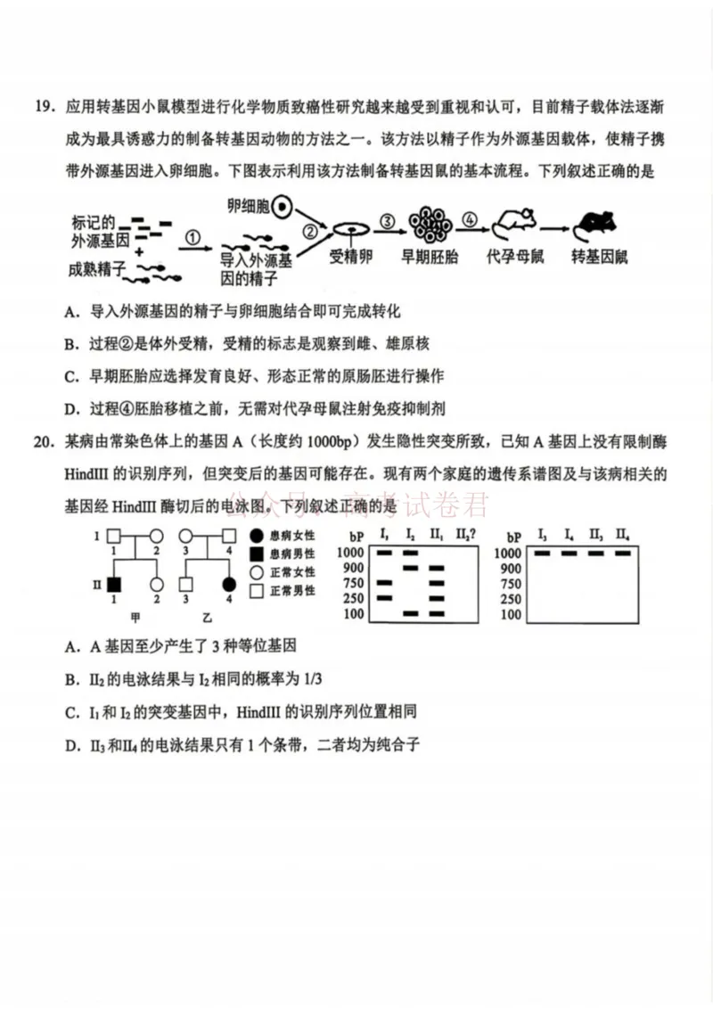 《生物试卷-辽宁省鞍山市普通高中2025-2026学年度高三年级第二次质量监测(鞍山二模)_12.2026年4月全国各地高考模拟卷_2026年4月_06生物_辽宁省鞍山市高三第二次质量监测》第6页预览