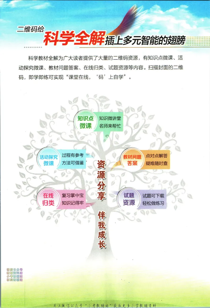 《小学教材全解三年级下册科学教科版_薛金星小学教材全解(2)》第3页预览