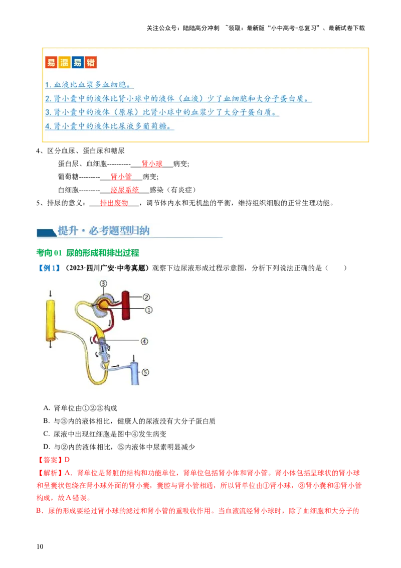 《专题13人体内废物的排出（讲义）（解析版）(1)_中考-总复习（2026版）_08-生物-中考总复习_2024年中考复习资料_一轮复习_❤2024年中考生物一轮复习讲练测（全国通用）_讲义》第10页预览