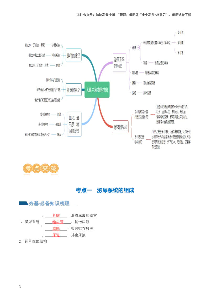 《专题13人体内废物的排出（讲义）（解析版）(1)_中考-总复习（2026版）_08-生物-中考总复习_2024年中考复习资料_一轮复习_❤2024年中考生物一轮复习讲练测（全国通用）_讲义》第3页预览
